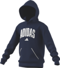 Promo Sweat à capuche Junior à 24,99 € dans le catalogue Sport 2000 à Meung-sur-Loire