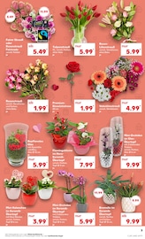 Aktueller Kaufland Prospekt mit Blumentopf, "UNSERE MEGA ANGEBOTE", Seite 3