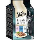 SHEBA® Fresh & Fine Multipack Portionsbeutel Lachs, Thunfisch & Forelle in Sauce MSC 6x50g 1 Stück im Angebot bei Zookauf in Meerbusch SHEBA® Fresh & Fine Multipack Portionsbeutel Lachs, Thunfisch & Forelle in Sauce MSC 6x50g 1 Stück Angebote von Sheba bei Zookauf Meerbusch für 2,49 €