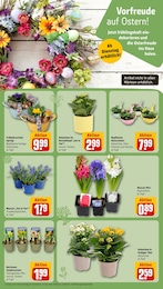 Küche Angebot im aktuellen REWE Prospekt auf Seite 11