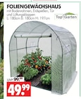 Foliengewächshaus Angebote von Top Garten bei Wreesmann Dessau-Roßlau für 49,99 €