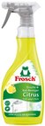 Spiritus Glasreiniger oder Dusch- und Bad Reiniger Citrus Angebote von Frosch bei REWE Rheine für 1,69 €