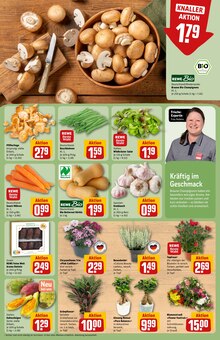 Pflanzen im REWE Prospekt "Dein Markt" mit 32 Seiten (Jena)