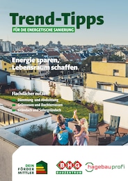 Danhauser Prospekt "Trend-Tipps FÜR DIE ENERGETISCHE SANIERUNG" für Neudrossenfeld, 10 Seiten, 18.07.2025 - 27.07.2025