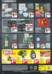 Ähnliche Angebote wie Erdinger im Prospekt "Wir lieben Lebensmittel!" auf Seite 8 von EDEKA in Hoyerswerda