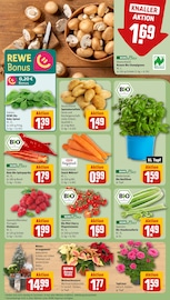 Gartenmöbel im REWE Prospekt in Dormagen Aktueller REWE Prospekt mit Gartenmöbel, "Dein Markt", Seite 7