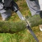 Astsäge von PARKSIDE PERFORMANCE im aktuellen Kaufland Prospekt für 7,99 €