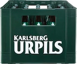 Netto Marken-Discount Weilerbach - Urpils Angebot im Prospekt Urpils bei Netto Marken-Discount im Weilerbach Prospekt für 11,99 €