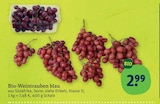 Aktuelles Bio-Weintrauben blau Angebot bei tegut in Nürnberg ab 2,99 €