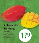 Baumreife Bio Mango im V-Markt Prospekt Baumreife Bio Mango von im aktuellen V-Markt Prospekt für 1,79 €