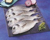 Daurade Royale d'Aquaculture - Super U à Toulouse Daurade Royale d'Aquaculture en promo chez Super U Toulouse à 10,45 €