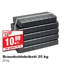 Braunkohlebrikett Angebote bei bauSpezi Warendorf für 10,99 €