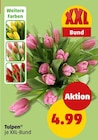 Aktuelles Tulpen Angebot bei Penny in Bremen ab 4,99 €