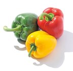 Paprika-Mix für 1,69 € bei Netto mit dem Scottie im Angebot Paprika-Mix im aktuellen Netto mit dem Scottie Prospekt