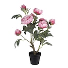 Arbuste pivoine artificiel 60cm dans le catalogue B&M