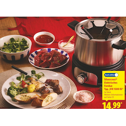Elektrisches Fondue Typ „SFE 1500 E5“