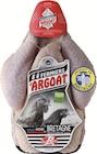Intermarché Super Paimpol - Promo Poulet fermier noir de Bretagne IGP Label Rouge Promo Poulet fermier noir de Bretagne IGP Label Rouge à 7,89 € dans le catalogue Intermarché Super à Paimpol