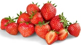 Bio Erdbeeren Angebote von REWE Bio bei REWE Halle für 2,49 €