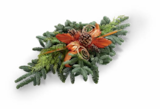 Grab-Bouquet im Angebot bei Netto Marken-Discount in Aurich Grab-Bouquet Angebote bei Netto Marken-Discount Aurich für 12,99 €