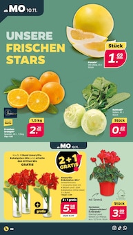 Netto mit dem Scottie Prospekt der Woche "Günstig. Besser. Für Dich." Seite 2, 10.11.2025 bis 15.11.2025 für Greifswald Aktueller Netto mit dem Scottie Prospekt "Günstig. Besser. Für Dich." Seite 2 von 37 Seiten für Greifswald