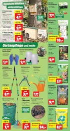 Werkzeug Angebot & Preis im aktuellen Thomas Philipps Prospekt Werkzeug Angebot im aktuellen Thomas Philipps Prospekt auf Seite 3