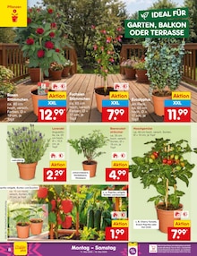 Pflanzen im Netto Marken-Discount Prospekt "Aktuelle Angebote" mit 65 Seiten (Krefeld)