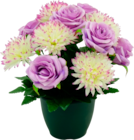 COMPOSITION FLEURIE ROSES & CHRYSANTHÈMES - SANSMARQUE - Auchan Hypermarché à Courbevoie COMPOSITION FLEURIE ROSES & CHRYSANTHÈMES - SANSMARQUE en promo chez Auchan Hypermarché Courbevoie à 8,99 €