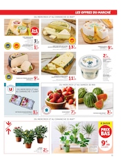 Promos Jardinage dans le catalogue "Super U" de Super U Jardinage en promo dans le catalogue Super U à la page 11