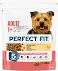 Hund Nassfutter Multipack oder Perfect Fit im Angebot bei Rossmann in Gladbeck Hund Nassfutter Multipack oder Perfect Fit Angebote von Cesar bei Rossmann Gladbeck für 4,99 €