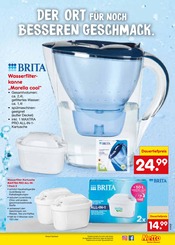 Aktueller Netto Marken-Discount Prospekt mit Wasserfilter, "Aktuelle Angebote", Seite 43