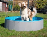 Aktuelle Teppich Angebote bei REWE in Rostock Aktuelles Hundekühlmatte Angebot bei REWE in Rostock ab 7,99 €