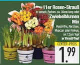 11er Rosen-Strauß oder Zwiebelblumen Mix bei E center im Erding Prospekt für 1,99 €