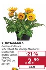 Aktuelles MITTAGSGOLD Angebot bei Dehner Garten-Center in Münster ab 2,99 €