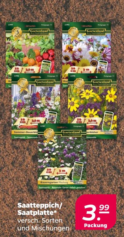 Saatteppich/ Saatplatte