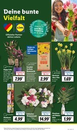 Blumenerde Angebot im aktuellen Lidl Prospekt auf Seite 7
