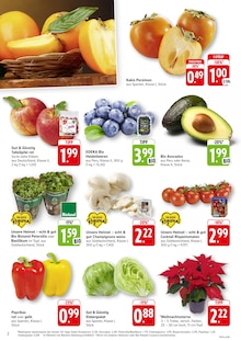 Aktueller EDEKA Prospekt