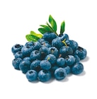 Netto mit dem Scottie Ferdinandshof - Heidelbeeren Angebot im Prospekt Heidelbeeren bei Netto mit dem Scottie im Ferdinandshof Prospekt für 2,89 €