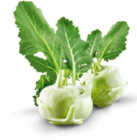 Aktuelles Kohlrabi Angebot bei Netto Marken-Discount in Mannheim ab 1,00 €
