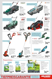 Akku Rasenmäher Angebot & Preis im aktuellen Hellweg Prospekt Akku Rasenmäher Angebot im aktuellen Hellweg Prospekt auf Seite 21