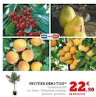 Fruitier demi-tige dans le catalogue Hyper U