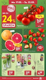 Aktueller ALDI Nord Prospekt mit Obstbaum, "Aktuelle Angebote", Seite 3