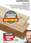 Klick-Laminat im Angebot bei Schaub Vertriebs GmbH in Villingen-Schwenningen Klick-Laminat Angebote von ESPRIMA bei Schaub Vertriebs GmbH Villingen-Schwenningen für 12,99 €
