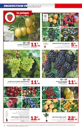 Offre Fruits Et Légumes dans le catalogue Hyper U du moment à la page 14