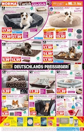 Korb im Norma Prospekt in Ludwigshafen Aktueller Norma Prospekt mit Korb, "Mehr fürs Geld", Seite 13