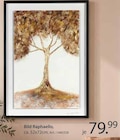 Bild Raphaello im Angebot bei Zurbrüggen in Minden Bild Raphaello Angebote bei Zurbrüggen Minden für 79,99 €