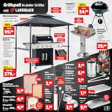 Grillkohle im Thomas Philipps Prospekt "Top Angebote" mit 29 Seiten (Essen)