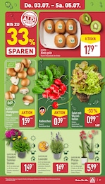 Pilze Angebot im aktuellen ALDI Nord Prospekt auf Seite 27