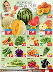 Ähnliche Saatgut Angebote im Prospekt "Aktuelle Angebote" von Netto Marken-Discount in Peine Ähnliche Angebote wie Saatgut im Prospekt "Aktuelle Angebote" auf Seite 6 von Netto Marken-Discount in Peine