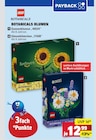 Botanicals Sonnenblumen Angebote von LEGO bei Marktkauf Fellbach für 12,99 €