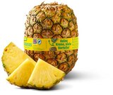 Ananas ohne Krone im Angebot bei Penny in Bremen Ananas ohne Krone Angebote von Marktliebe bei Penny Bremen für 1,99 €